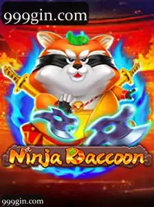NinjaRaccoon